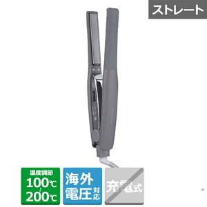 TESCOM �i�e�X�R���j �v���t�F�b�V���i���A�����W�A�C���� NIS300A-H �X���[�L�[�O���[