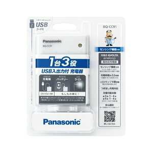 Panasonicipi\jbNj USBo͕t[d BQ-CC91