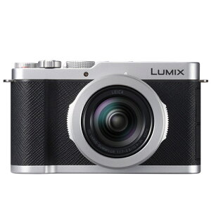Panasonic�i�p�i�\�j�b�N�j �f�W�^���J�����@LUMIX�@L10 DC-L10-S �V���o�[