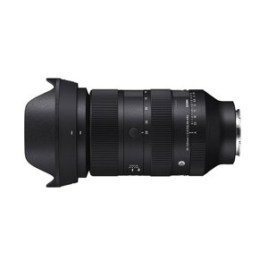 SIGMAiVO}j A Art SIGMA 28-105mm F2.8 DG DN@\j[E}Egpi~[Xp/tTCYΉj 28-105mm F2.8 DG DN(\j[)