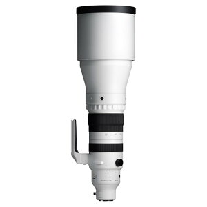 SIGMA�i�V�O�}�j �y�󒍐��Y�i�z�V�O�} 300-600mm F4 DG OS Sports �\�j�[ E �}�E���g�p 300-600mm F4 DG OS S���C�� (�\�j�[)