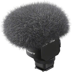SONYi\j[j VbgK}CNz ECM-M1