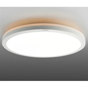 ���ŁiTOSHIBA�j LED�V�[�����O���C�g NLEH12025C-LC ���12���p