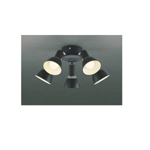 Ɩ ƖiV[Ot@j AA47473L dFij@10p