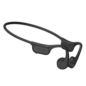 C HIDISC `wbhz HD-BCEX19BK ubN
