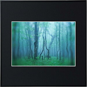 KenkoiPR[j z@A4XNGA M[ A4XNGA ubN AGY-A4SQ-BK ubN