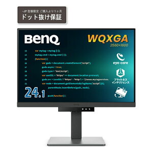 BENQ 24.1^vO~Oj^[ RD240Q-JP