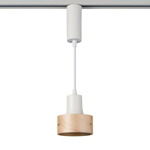 ELPA CeBOo[p LEDy_gCg EbhVF[h@dF LRS-PW01L(IV) AC{[