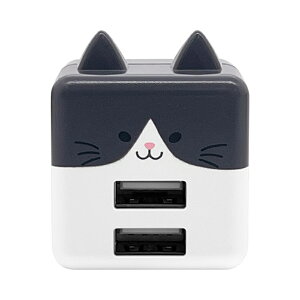 X^oii oɂ[ AC[d RAC2A2A02HAC ͂