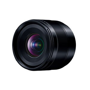 Panasonicipi\jbNj fW^JpY H-X09