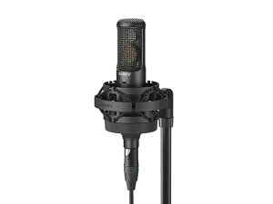 SONYi\j[j RfT[}CNz C-100