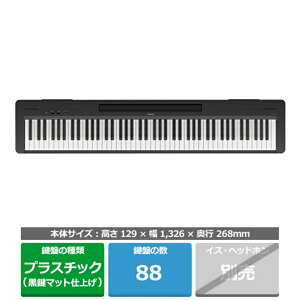 }n dqsAm PV[Y P-145B ubN