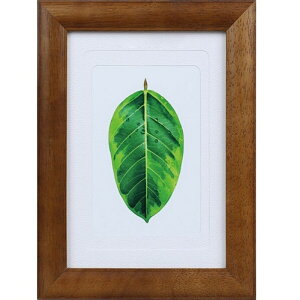 KenkoiPR[j tHgX^h@LE2LEnKL SmL uE PS-GM-BR uE