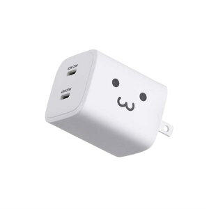GR USB Power Delivery 45W AC[d(C×2) MPA-AC10945WF 낿(zCg×ubN)
