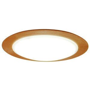 Xd ƖiLj CE-1004NA i`