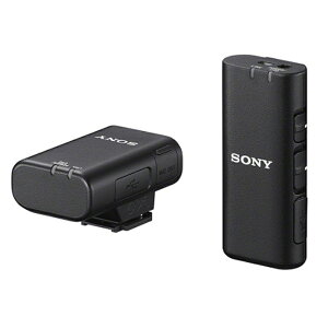 SONYi\j[j CX}CNz ECM-W2BT