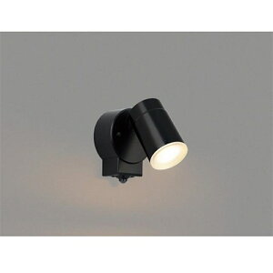 Ɩ LEDX|bgCg BU190005B