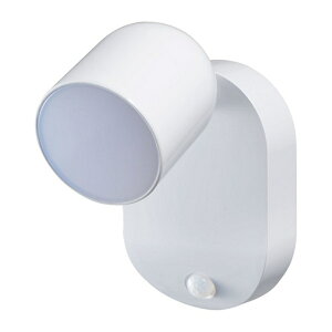ELPA LED�Z���T�[�t���C�g�i�h�JIPX4�j PM-L751W �z���C�g