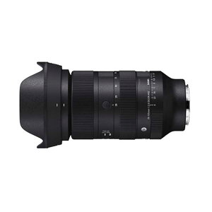 SIGMA�i�V�O�}�j A Art SIGMA 28-105mm F2.8 DG DN�@���C�JL�}�E���g�p�i�~���[���X��p/�t���T�C�Y�Ή��j 28-105mm F2.8 DG DN(���C�J)