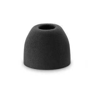 SONY�i�\�j�[�j �w�b�h�z���A�N�Z�T���[ EP-NI1010SS Q ���E1�y�A SS�T�C�Y