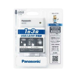Panasonic�i�p�i�\�j�b�N�j USB���o�͕t�[�d�� BQ-CC91