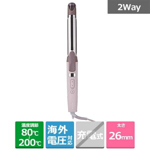 TESCOM �i�e�X�R���j 2WAY�X�`�[���w�A�[�A�C���� TW752A-C �i26mm�a�j