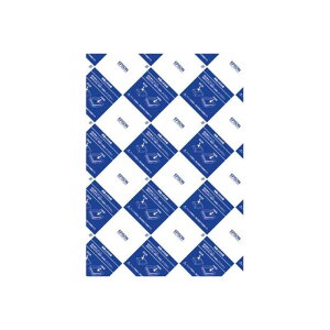 EPSON�i�G�v�\���j �r�W�l�X���ʎ� KA4500BZ A4�T�C�Y�i210×297mm�j/ 500����