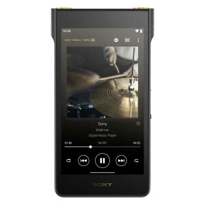 SONY�i�\�j�[�j �E�H�[�N�}��WM1�V���[�Y[�������[�^�C�v] NW-WM1AM3 �e�ʁF128GB