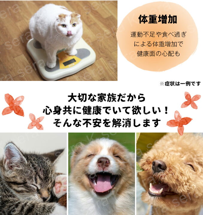 最大93%OFFクーポン 猫 おもちゃ ボールグリーン 電動 自動 ペット 犬 肥満防止 運動 コロコロ