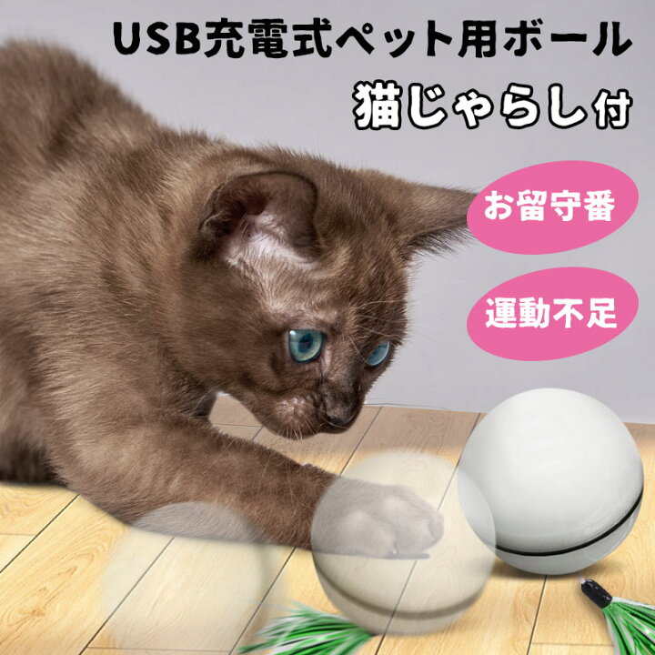 楽天市場 猫じゃらし付 猫用 動く ボール 犬用 お留守ニャン お留守ワン 猫 おもちゃ 一人遊び 運動不足 ペット用 Usb 充電 式 ペット用ボール 犬 ねこ 自動 直径7cm おもちゃ 留守番 ストレス発散 猫じゃらし 羽 小さめ シンプル 運動 白 シンプル K