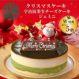 _1128(16:59)܂Ń|Cg5{^ NX}XP[L F`[YP[LWF~j 4 (12cm 2lp ` 4lp )  NX}X 2025 XmasP[L \  T^I[ig lC Mtg 