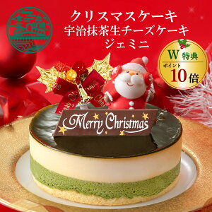 _1027(16:59)܂Ń|Cg10{^ NX}XP[L sF`[YP[LWF~j 4 (12cm 2lp ` 4lp )  NX}X 2025 XmasP[L \  T^I[ig lC M