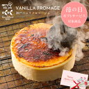 母の日 遅れてごめんね スイーツ ケーキ お花 冷凍 ギフト チーズケーキ バニラフロマージュ 4号 (約12cm 2人用 〜 4…