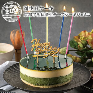 aP[L s F  `[YP[L WF~j sFlg 4 (12cm 2`4l) XC[c o[Xf[P[L aP[L Mtg a o[Xf[ j LO 蕨 a