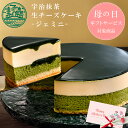 母の日 遅れてごめんね ケーキ スイーツ 花 セット 抹茶ケーキ チーズケーキ 誕生日ケーキ 大人 抹茶スイーツ ギフト …