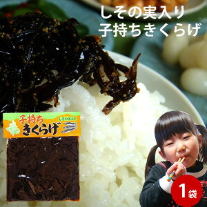 1000~|bL q炰 210g | ώ  z ώρ@qLNQ Mtg т̂ Ђ LNQ VV ؎ ͂  ̍O Hו |Cg 
