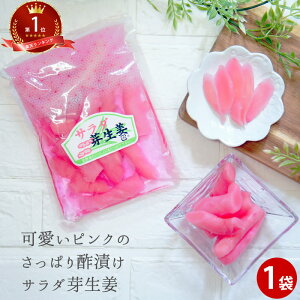 Е 1000~|bL T_萶I 240g×1 | | K Ђ |傤 y b lC т̂  WW[ |VEK |I VEKI[ |Ђ Ð|Ђ I 