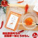 一味唐辛子 国産 赤一味 とうがらし 2袋セット | 調味料 ペッパー redpepper 保存料 無添加 袋 カプサイシン 辛い ドライ ハーブ 1000円 ポッキリ 辛い 調味料 ポイント消化 fp お試し 無農薬 送料無料 1000円ポッキリ 唐辛子粉 国産 メール便 ホワイトデー チョコ以外