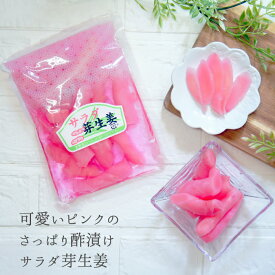 新生姜 サラダ芽生姜 240g×5袋｜酢漬 漬け物 酢しょうが 惣菜 話題 人気 ガリ ギフト 漬物 ご飯のお供 つけもの ショウガ 酢ショウガ 酢生姜 ショウガ おかず生姜 お試し 送料無料 食品 アウトドア BBQ お取り寄せ 朝ごはん 食べ物 つまみ ギフト 差し入れ お中元