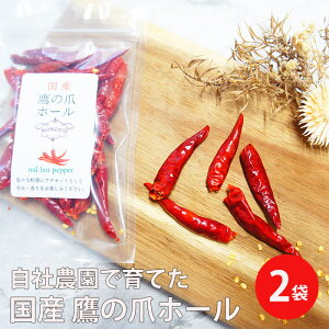 Y ̒ z[ 10g 2 | hq hq [ h JvTCV |Cg ۑ Y h h hC _ ̒ Y@̂  ԓhq 1000~ |bL Ă