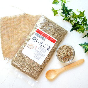 ܂̎   80g |  `Ӗ GS} hC Mtg ~  O   FB Hו 퉷ۑ  GS}̎  [ Mtg    hV