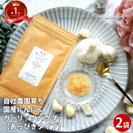 ニンニクパウダー 国産 20g×2袋 | 粗びき 粗挽き あらびき にんにく 粉末 にんにく粉末 国産 ガーリックパウダー ポイント消化 fp 介護食 常温保存 送料無料 調味料 スタミナ 送料無料 ギフト 食べ物 珍しい 母の日 花以外