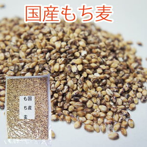 Y  200g×2 | b ݔ 400g ͂ _CGbg er H@  ͂ G ͂ wV[ ` Mtg  O  Hו |Cg  [ M