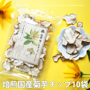 e`bvX Y 40g×10 |  Ck Hׂ   N LNC Mtg mJtFC }^jeB  ۑ Y  e`bv e `bv q ֔  