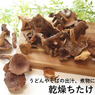 乾燥ちち茸 40g×3袋 ちたけ 乳茸 チチタケ ちちたけ チタケ 通販 キノコ きのこ 祝 ギフト ヘルシー 529…