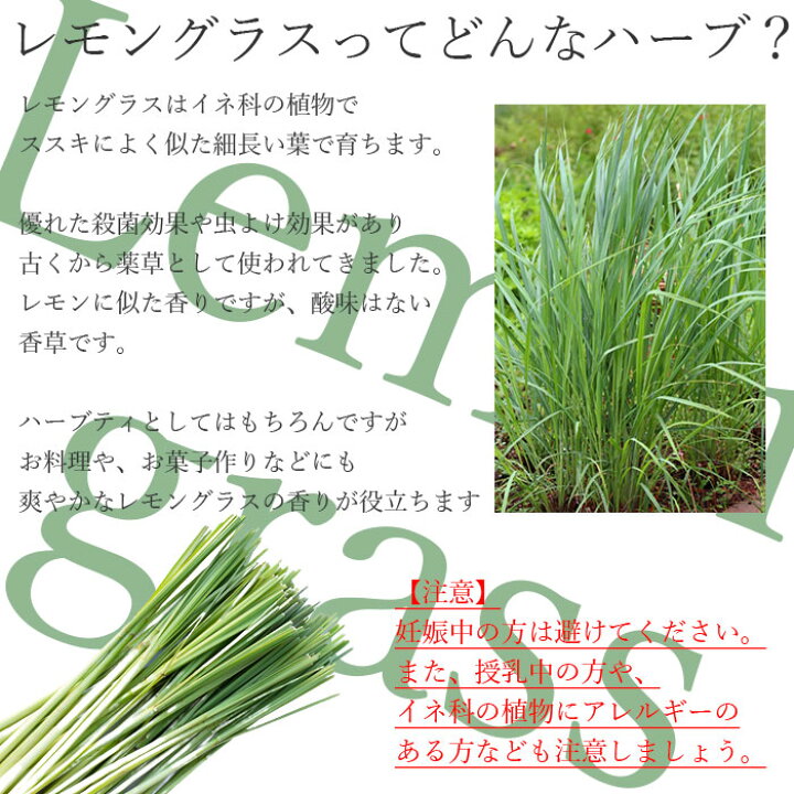 楽天市場】国産 100% レモングラス パウダー 20g×5袋 ハーブ 調味料 