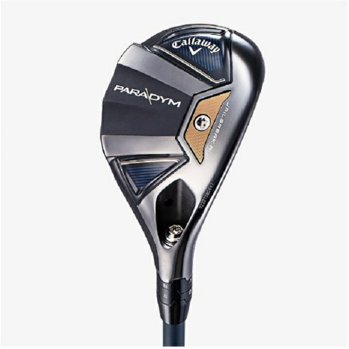 楽天市場】☆新品☆ PARADYM ユーティリティ NS PRO 850GH neo (S 