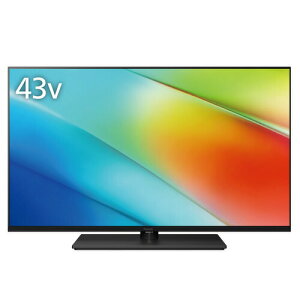 �y�[����2�T�ԁz�p�i�\�j�b�N TV-43W90B 43�^ ���P�x 4K�t���e���r VIERA�u�`49�^�v