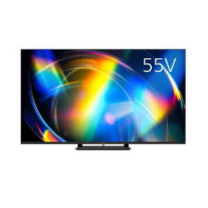 �y�[����3�T�ԁz�y�z���ݒu���i�z���p�i�\�j�b�N TV-55W95C 55V�^ 4K�t���e���r �~�jLED�o�b�N���C�g���� �n�f�W�EBS4KCS4K�`���[�i�[�����u50�^�`�v