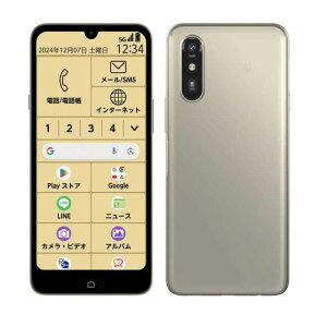 �y�[����2�T�ԁz�y����l�l1�_�܂ŁzFCNT SIM�t���[�X�}�[�g�t�H�� �炭�炭�X�}�z Lite MR01 �������^�X�g���[�W4GB�^64GB �S�[���h PB3S0001JP